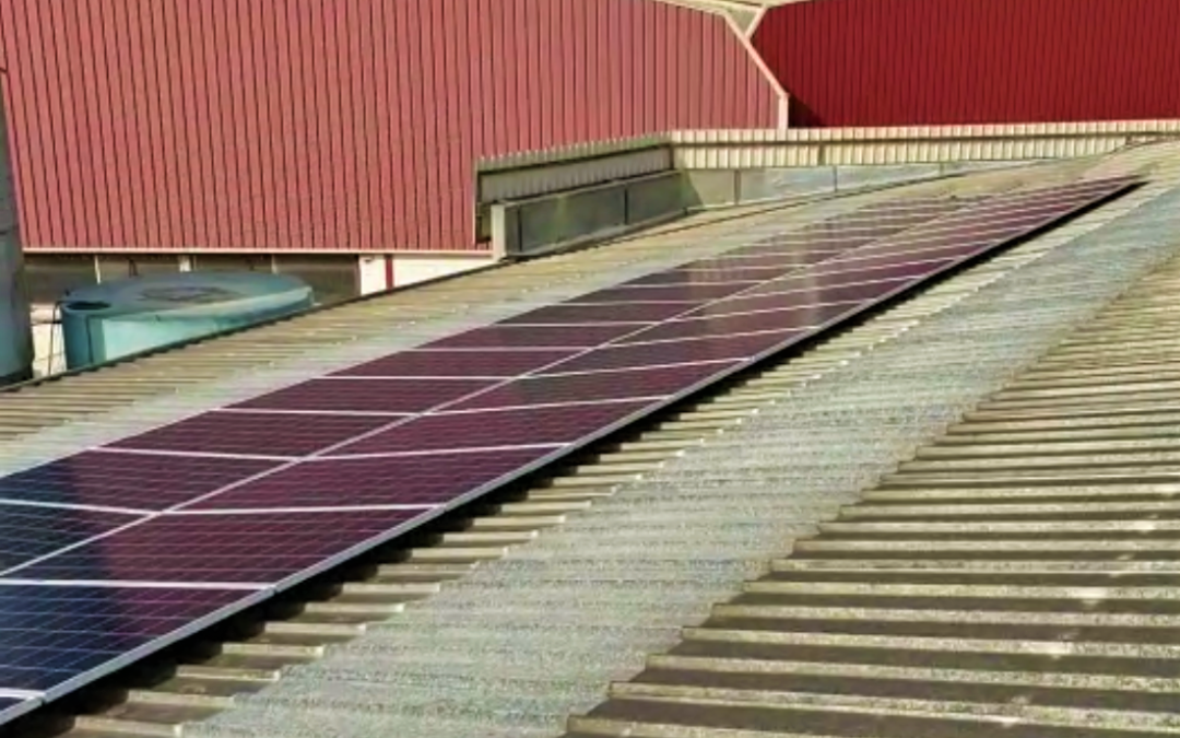 Instalación fotovoltaica Brumol