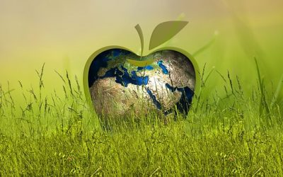 Jornada: «Cambios en la Cadena Alimentaria»