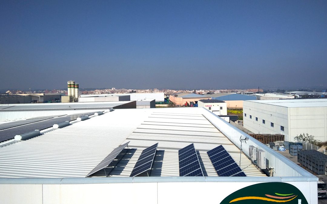 Instalación fotovoltaica en Empaval 95