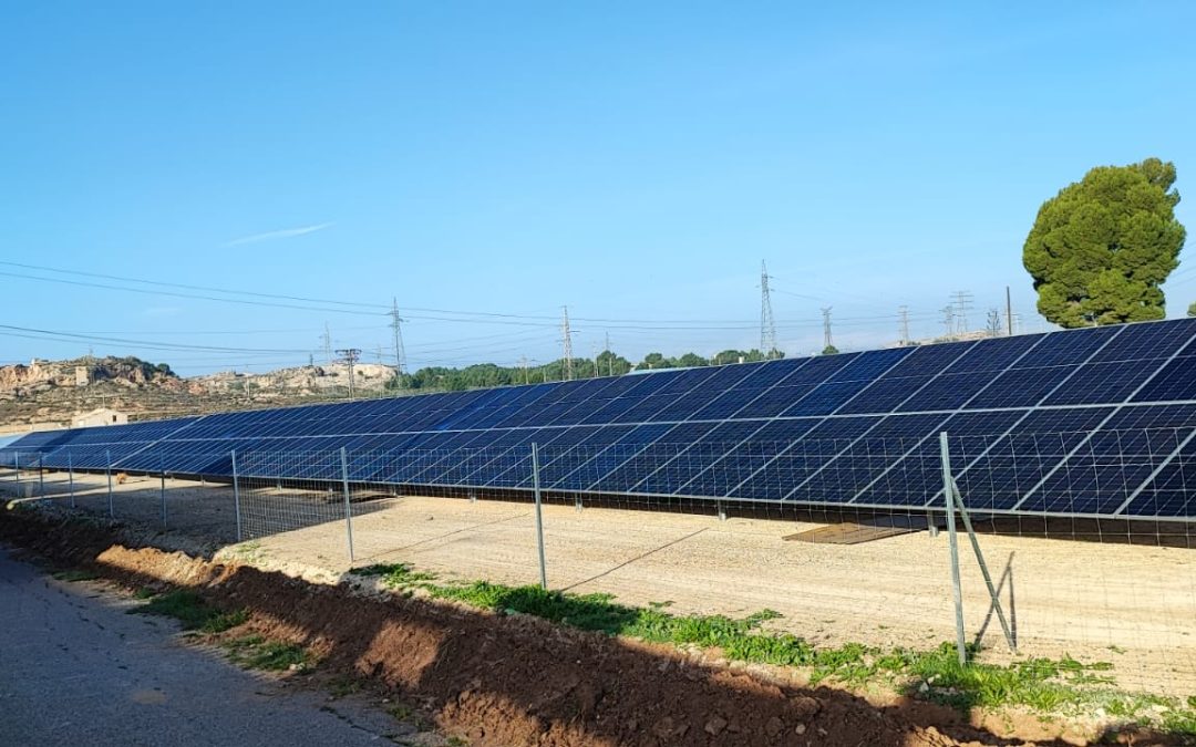 Huerto solar en TexAthenea