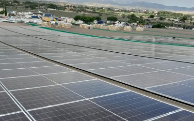 ¿Cuánto se puede ahorrar con el consumo energético en mi negocio?