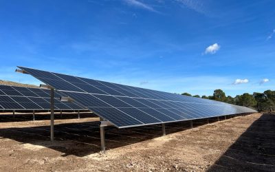 Huertos solares de autoconsumo, la solución en ahorro y sostenibilidad para las industrias que no disponen de cubiertas