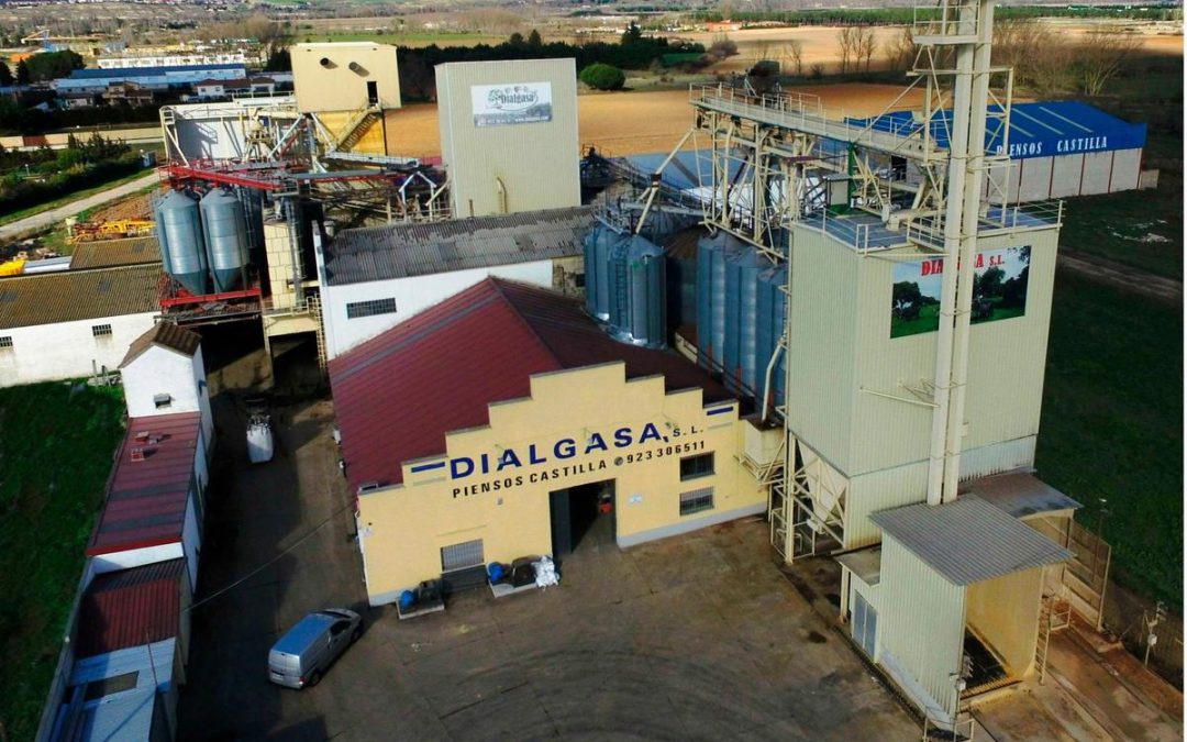 Sistema de almacenamiento energético para industria ganadera en Dialgasa