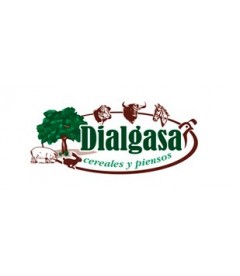 Dialgasa logotipo