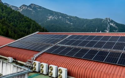 Energía Solar en 2024: Subvenciones y Perspectivas de Futuro