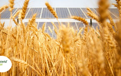 Ayudas a la energía y el almacenamiento en el sector agroalimentario