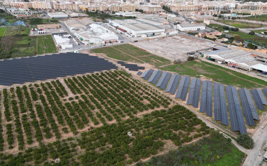 Ampliación de huerto en Kartogroup.