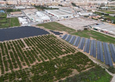 Ampliación de huerto en Kartogroup.