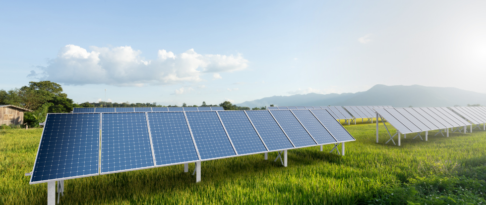 Agricultura y energía solar: el binomio que impulsa tu rentabilidad