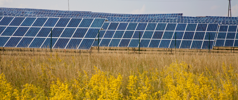La agrivoltaica se incluye en las ayudas del PAC